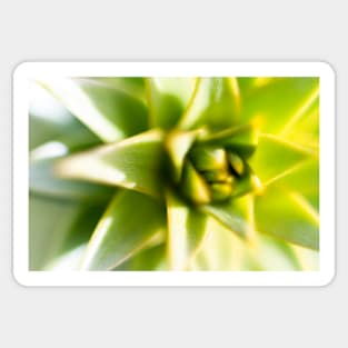 Lime green Lily bud Sticker